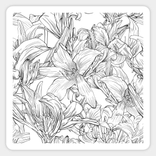 Hand drawn graphic daylily flower Sticker